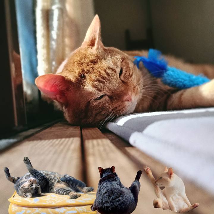 Cb88f12f f313 4f74 90ab 8dac1a1d5b92 1767497905387