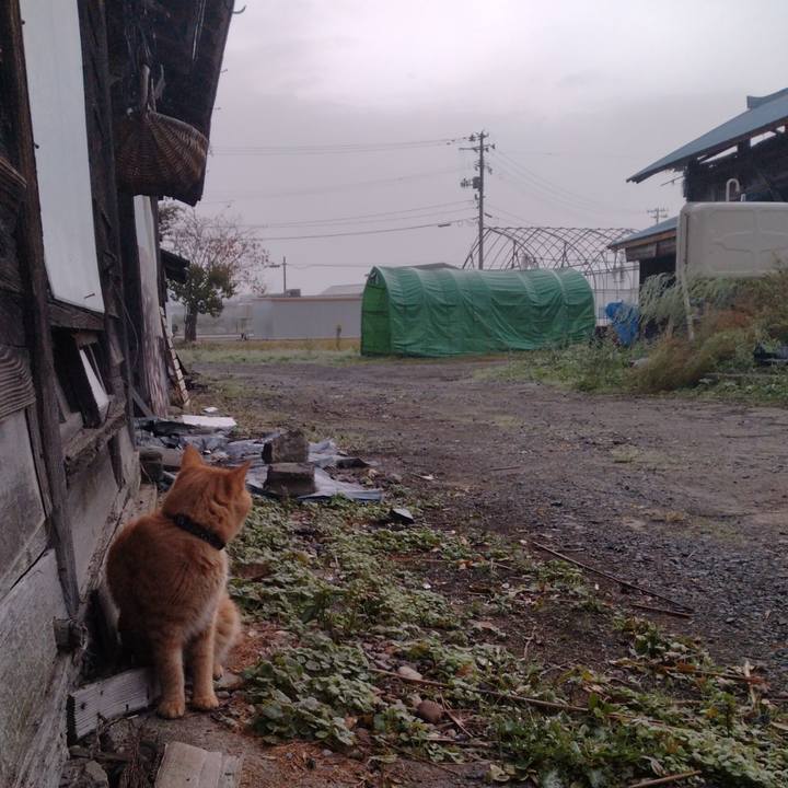 Cb88ff37 4ffd 4c52 aa36 521e5a15c602 1667340552183