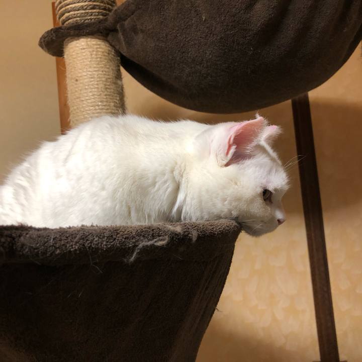 Cb89185c dc94 4868 9197 1f8432f3239f 1557060148896