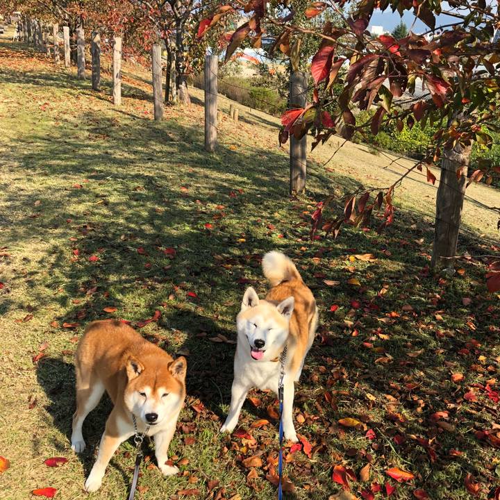 Cb8938c7 7738 406e 9541 af8430ff950f 1542426335422