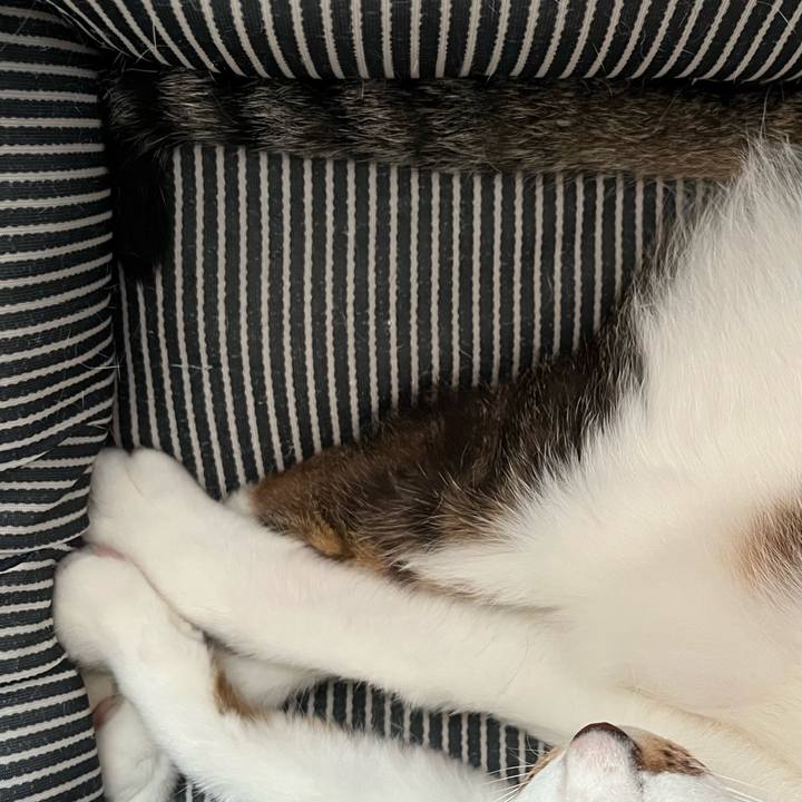 Cb894d78 74f4 4e47 9611 064246feae9b 1657174390585