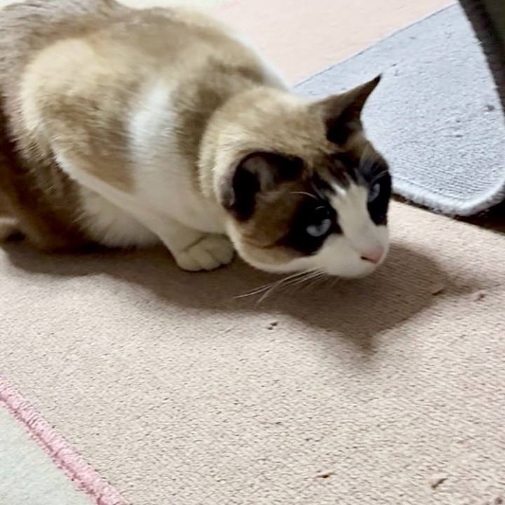 Cb899214 e30c 478f 8bfd c1d821e72281 1770901941277