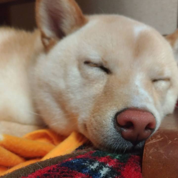 Cb89b2d0 d916 4725 84bd 3cc9aaf23cf5 1524398377091