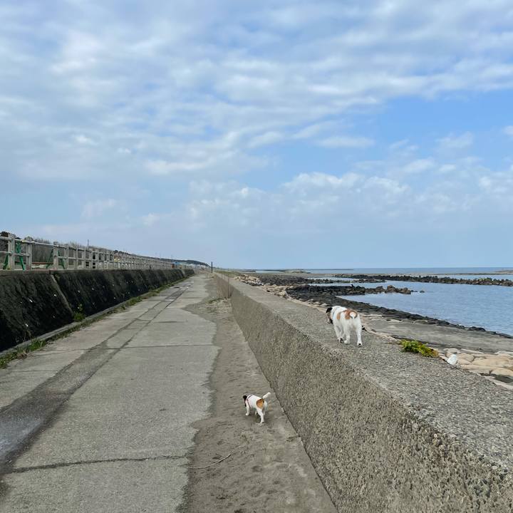 Cb89f6fd 8b88 4e17 af27 d94bd1d248c2 1620435286985