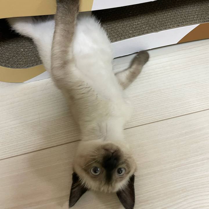 Cb8a0793 934c 4cd6 b416 22b0e365de7c 1689851711474