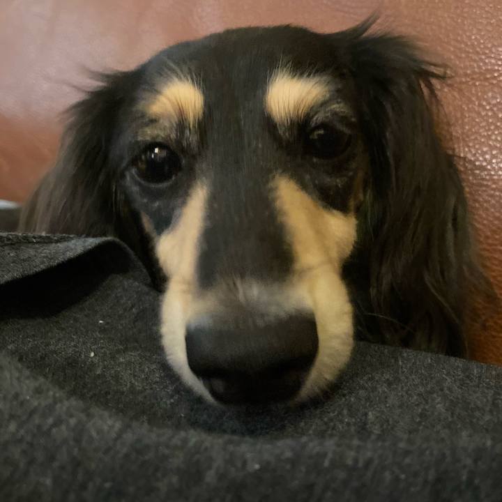 Cb8a2e1c 1d3d 41dc bc44 952e1dd1a399 1730845402771