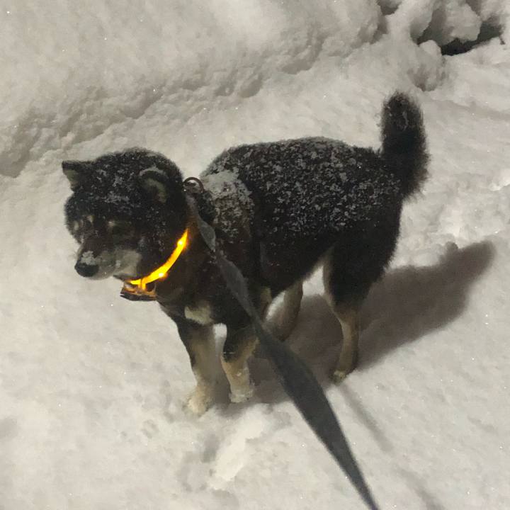 Cb8a3600 66f2 433c 8338 7cc6879708ee 1613002813726