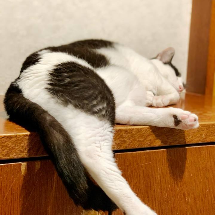 Cb8a43d5 8f65 4ac8 8f60 04eec049b03f 1596417609538