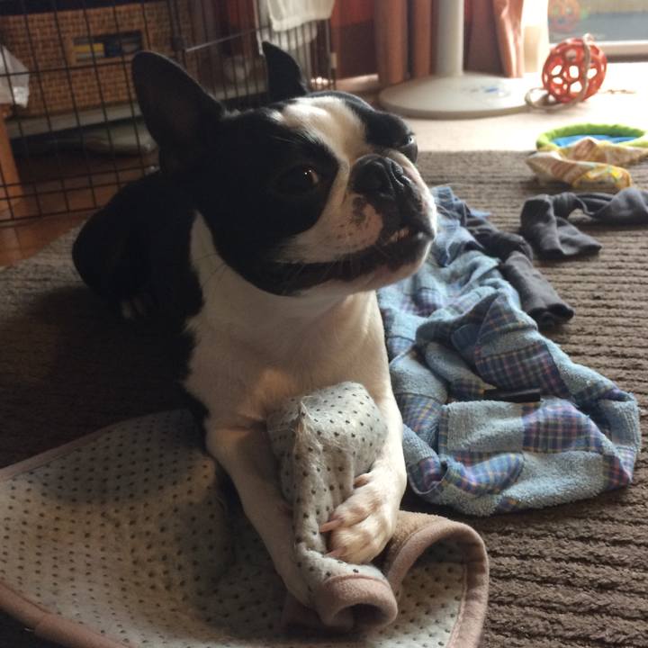 Cb8a5d90 af29 40fe b0f4 79f24b9927bd 1508739816475