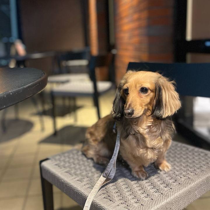 Cb8a78d7 e22e 40aa a9a9 bc0c8d8bf587 1716376475600