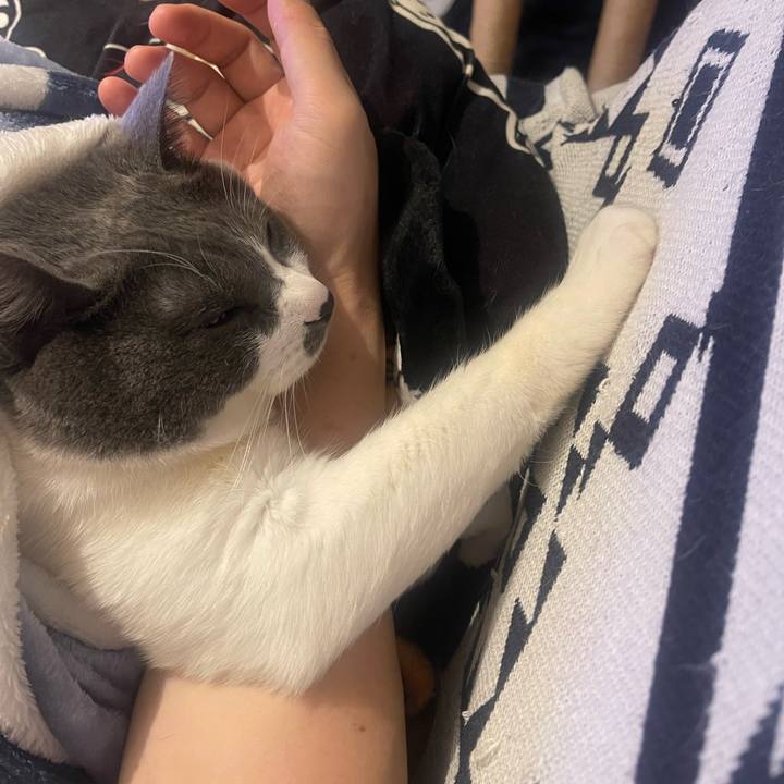 Cb8a93e1 a8ba 4c9f bc3e 9b231b21db6f 1737283849463