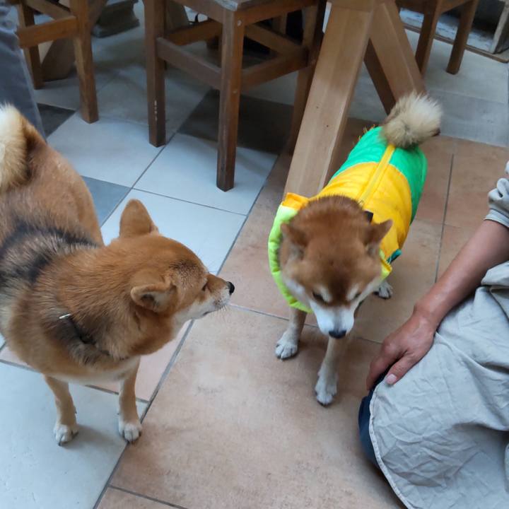 Cb8ad5b2 4f84 4694 9e6b 3c51a6b6caf3 1637575095293