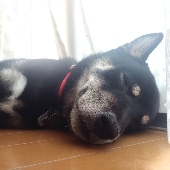 Cb8ae0f6 a455 4c92 af46 568e0a033881 1532152057303