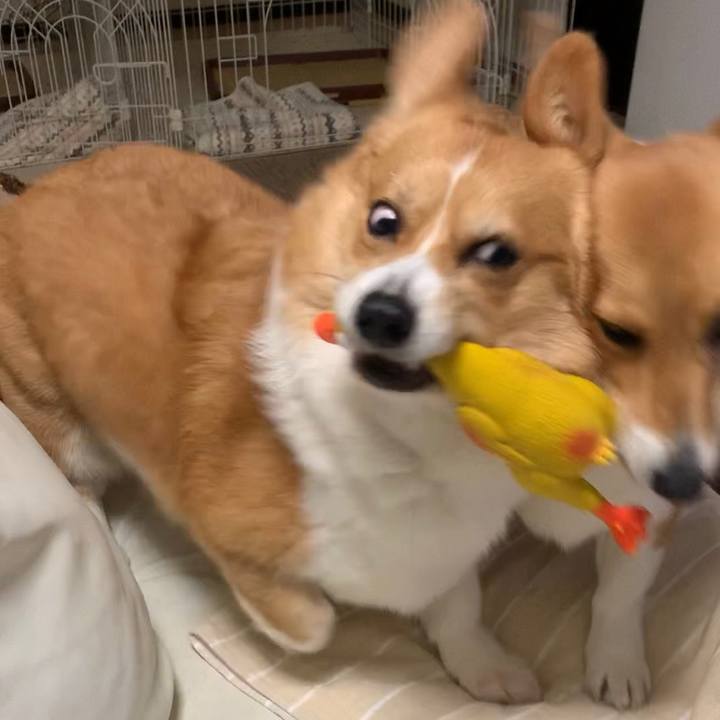 Cb8b268c 40b3 4eb8 af08 993c985644fa 1584182268252