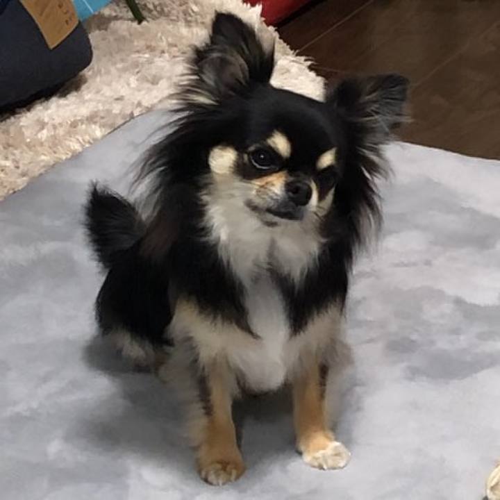 Cb8b2a24 be50 4fac 9cff 83b89f9b8776 1586958007160