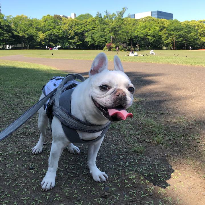 Cb8b4fea 4236 4b89 9156 e0a47f5f7e39 1683101855279