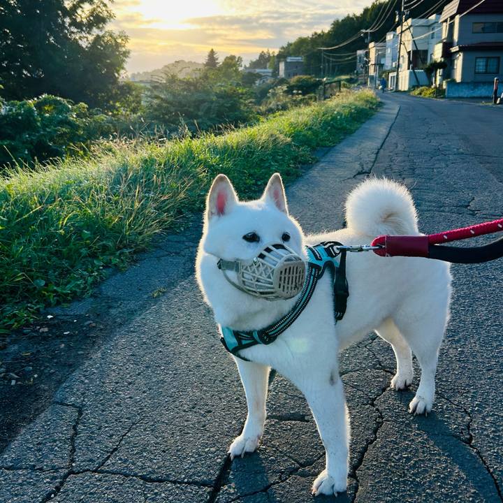 Cb8b53c3 6322 4292 8837 988d91fd6781 1695426632474