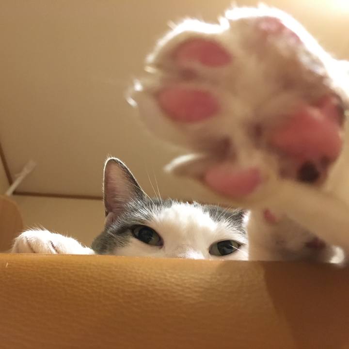 Cb8b616a 8867 4112 a7a5 b69a6c32fdc4 1548043945161