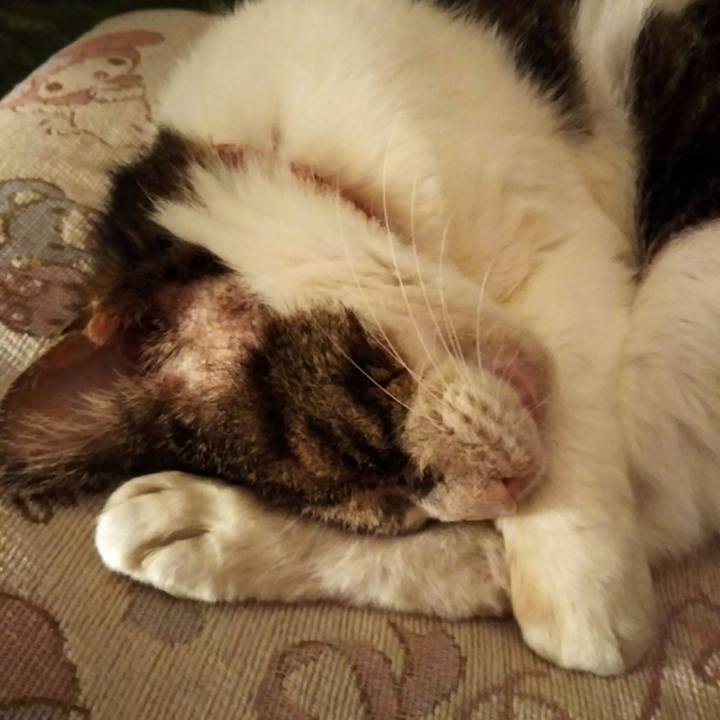 Cb8ba804 1dbb 4edf b499 28b7a61a5d5c 1563444380023