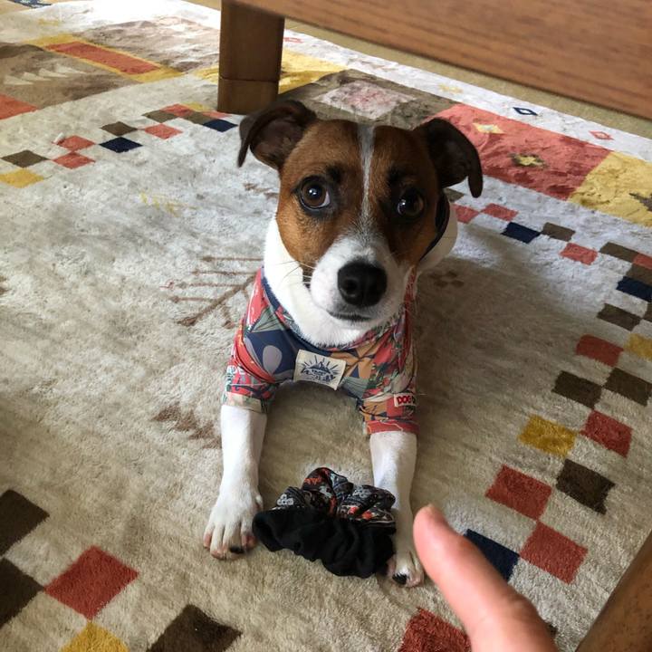 Cb8bbfa8 7832 4469 b34f cdb860cf80bd 1598417987312