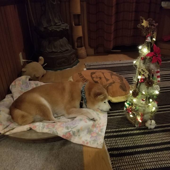 Cb8bdac8 7820 4f8c 9088 a35883e9545b 1703411887315