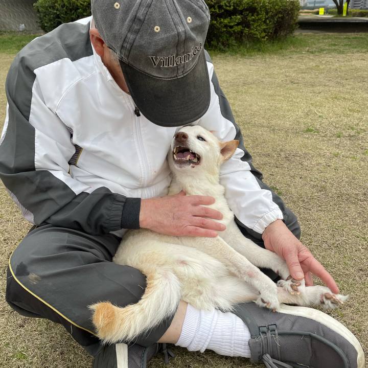 Cb8bdcb9 3e8e 44f6 baf9 8c6d5064169e 1678620069033