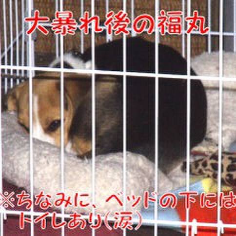 Cb8bf4fa ad1c 4f90 961e 98a866c35f9a 1678487607341