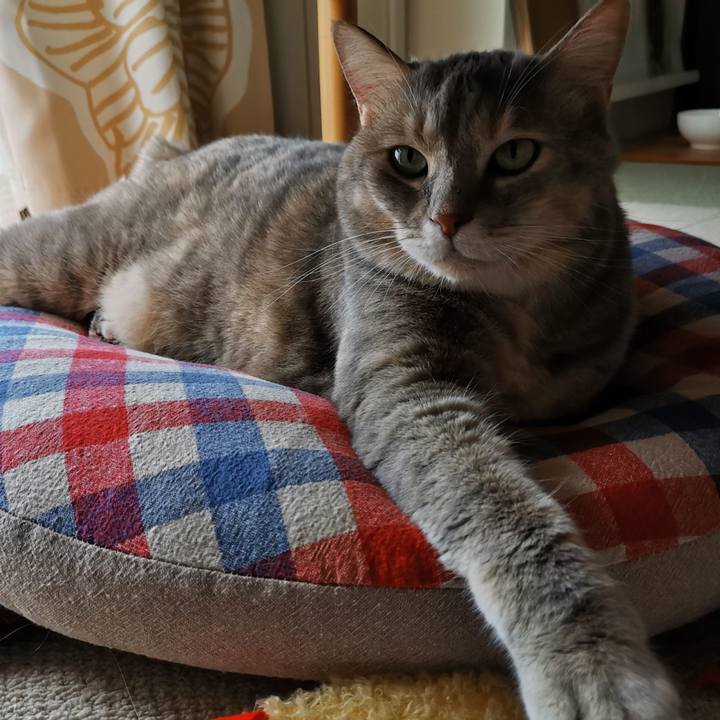 Cb8c47e1 e597 41e6 b6b1 1bb25da9cdfe 1664609130409