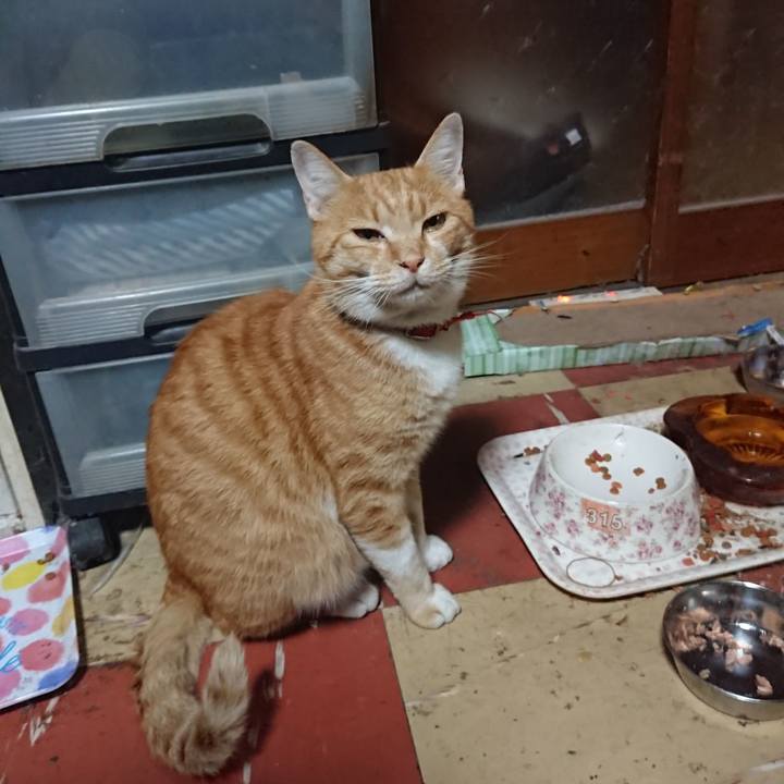 Cb8c71a8 e7c3 45f0 96db 2c6a13912b01 1571390944360