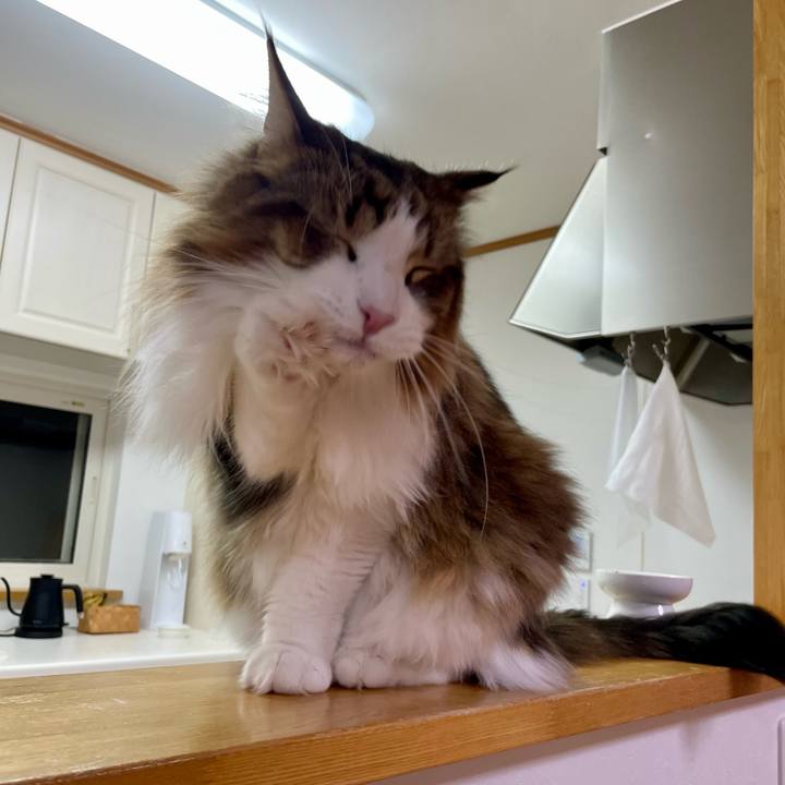 Cb8c732f fef3 4a8c 87a3 86df47f8f57e 1702927143275