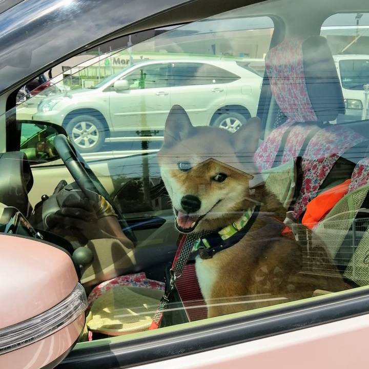 Cb8c81f6 1945 40a9 8125 edc3882d349b 1596421255345