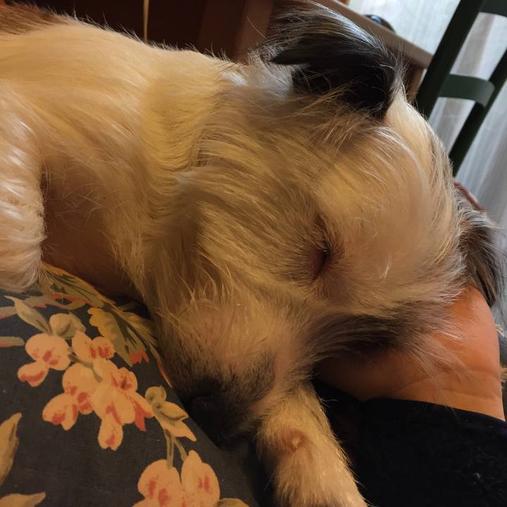 Cb8ce5c0 c10a 4848 bccb ecded639a212 1515465729464