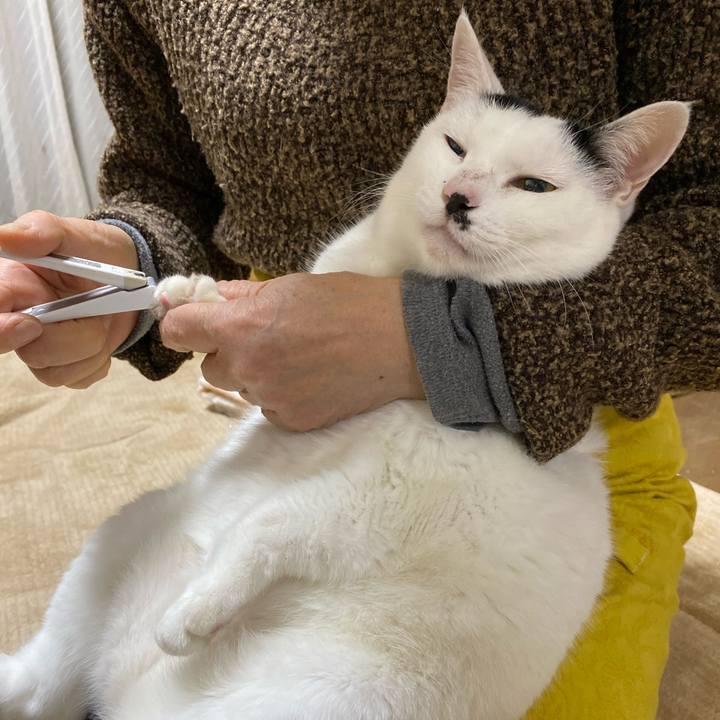 Cb8cf2de 2780 4de7 90f2 599011a082ba 1575556386045