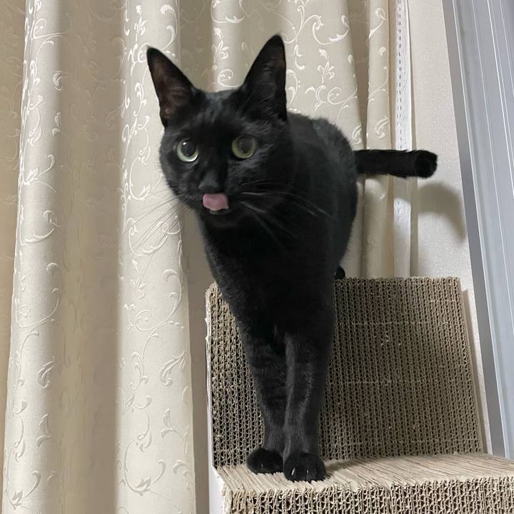 Cb8cf690 5188 4c63 8729 e3b0acc5e0fc 1713275765275