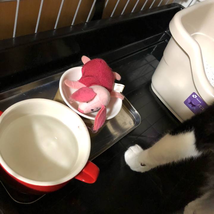 Cb8cf708 60ae 42f5 9dc6 d2e07d4191eb 1536930629175