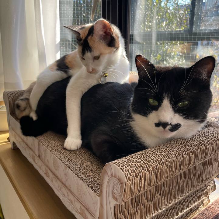 Cb8d0191 9048 4d4c 9931 4b57af131566 1674949994713