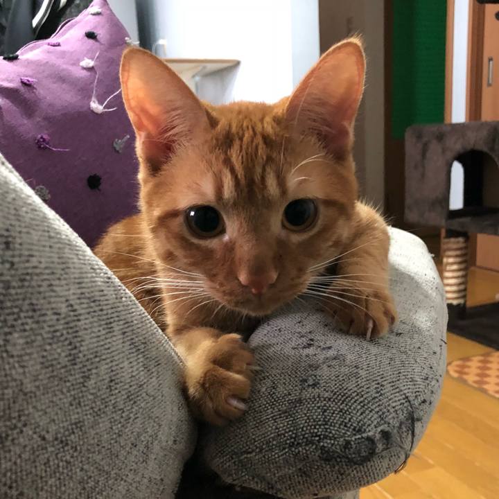 Cb8d0921 7ad7 49dc 8dff e8b90fa61415 1527080985559