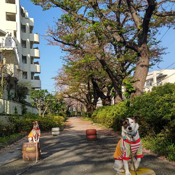 Cb8d43f6 9bd1 44f1 b465 a5491a84e22b 1680561380243