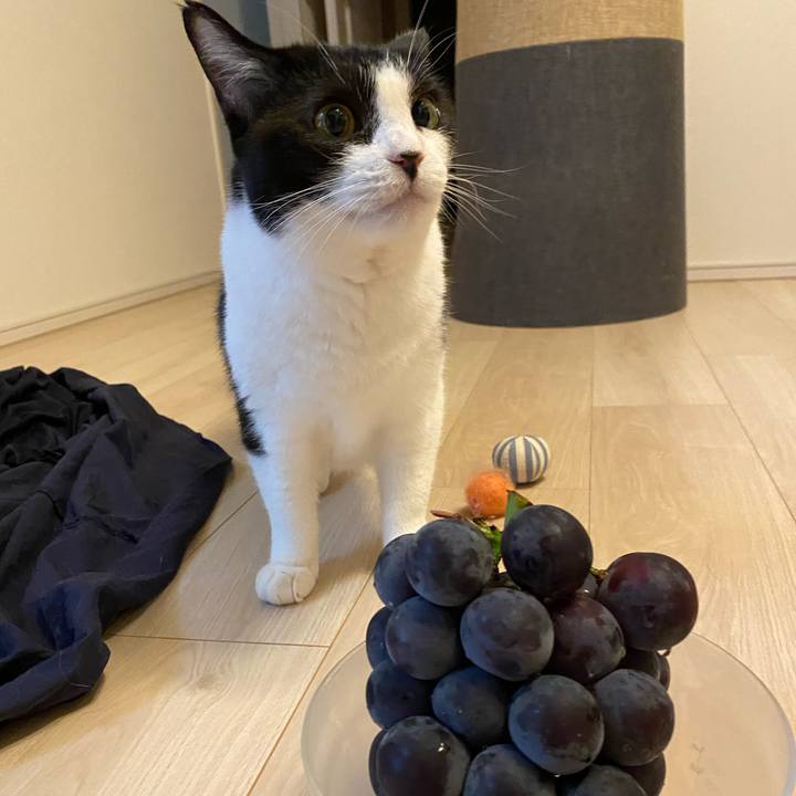 Cb8d4542 79c7 4325 a63c f2f3aaa1d6c5 1723975302854