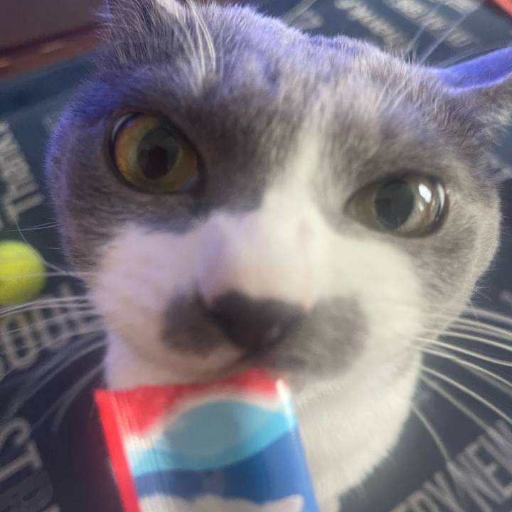 Cb8d4aef 1b70 49e5 a7a8 31136950bc33 1694672169491