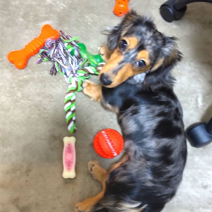 Cb8d4da0 f8d7 4e04 a801 d11ff6fa353d 1706699648777