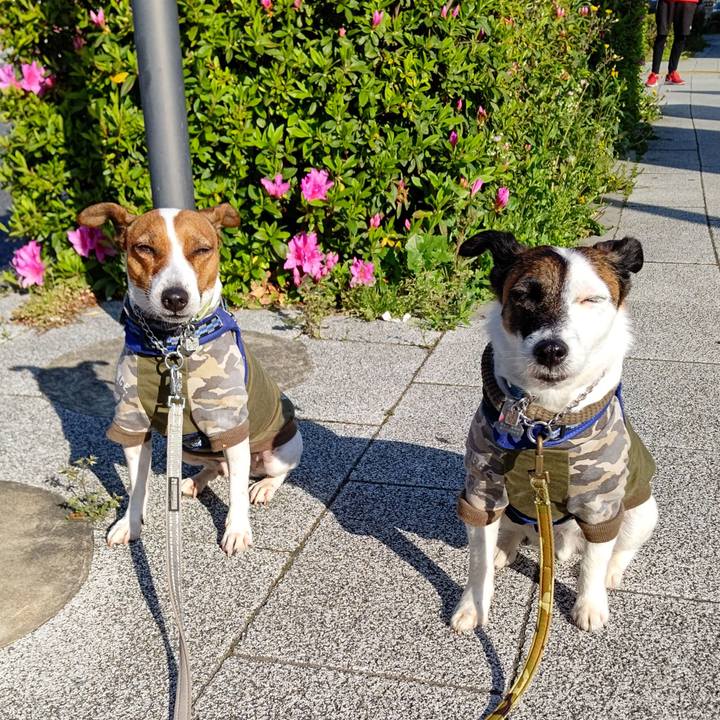 Cb8d5745 4f71 4185 a42b 2f1011cd2888 1618094068331