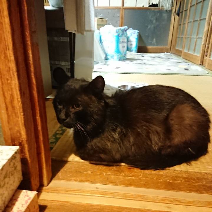 Cb8d9d6e cdf9 4672 9b96 061df12ab4b1 1624105197437