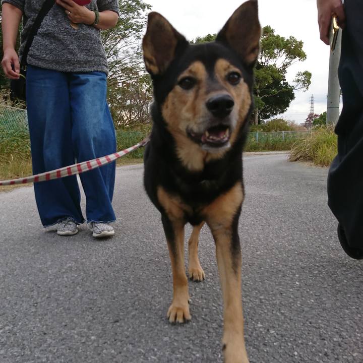 Cb8df4df eaff 4966 a502 393fbd9673ab 1541670392884