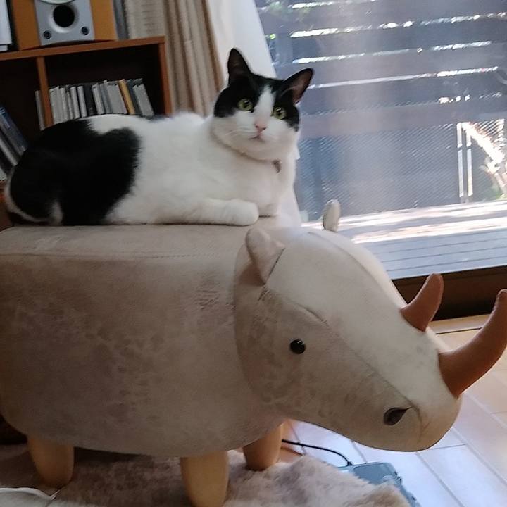 Cb8e01f1 961d 4bfe ac43 b3fd92053d0a 1586388399620