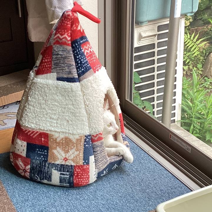 Cb8e1b90 6a7a 4f1f 8f22 f27063074091 1686173222619