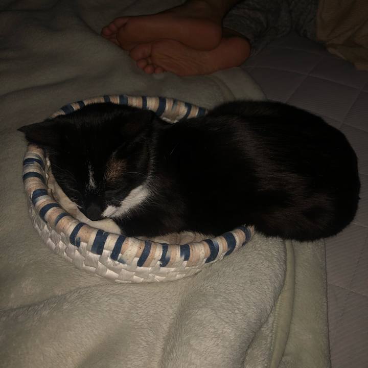 Cb8e1ec0 62a4 4014 b4dc edd091a42536 1589511492428