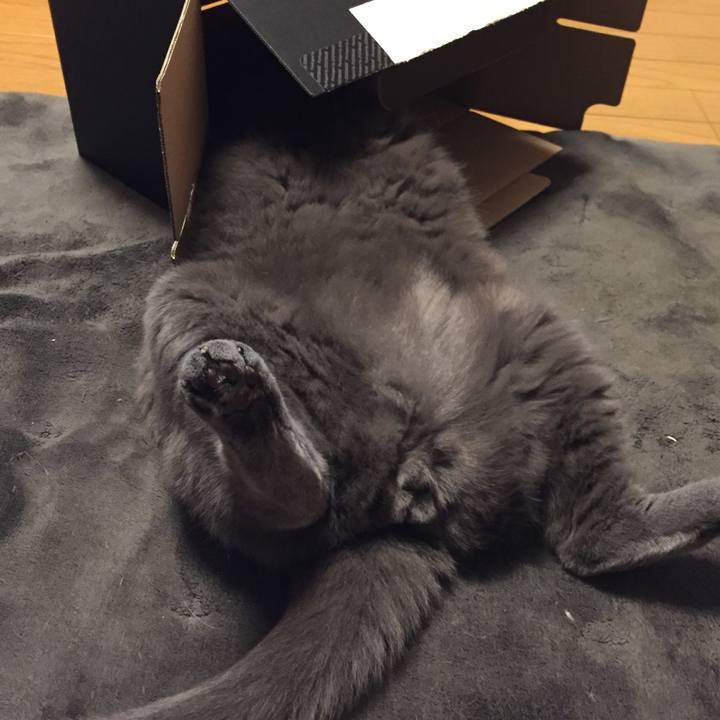 Cb8e3116 fa50 40d6 887b 91131b475cbc 1530187960338