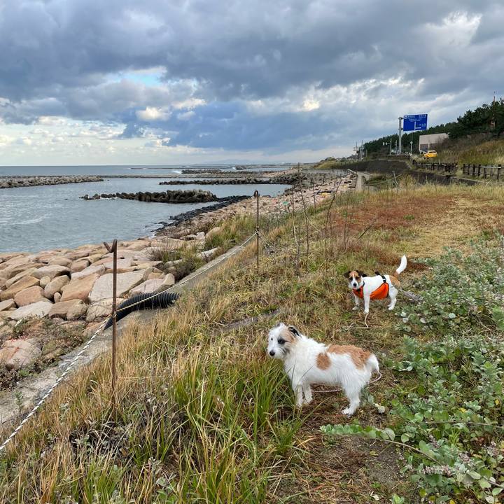 Cb8e380f 209d 4184 8877 1b341d5efbae 1666048933286