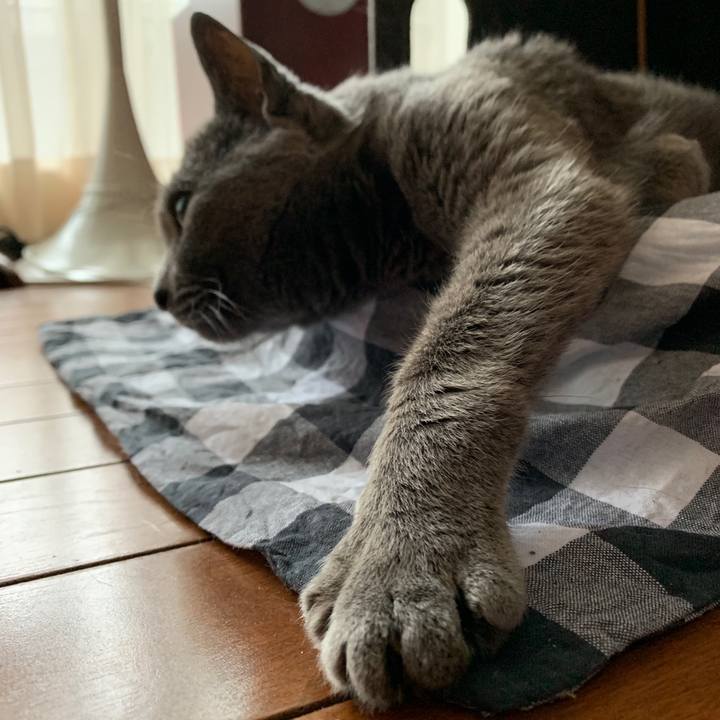 Cb8e4b42 3bf7 4f55 8452 dcba0bb6336f 1558421939189